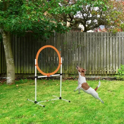 Hoppring för Hundagility Träningshinder 74,5 x 66 x 91 cm