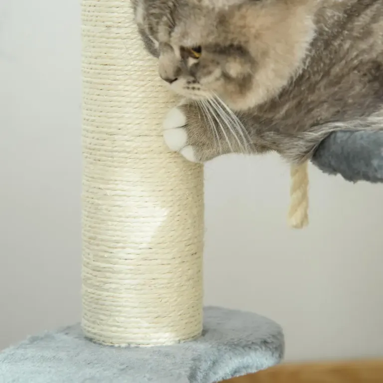 Klösträd för Katter med Sisalpelare 65 cm
