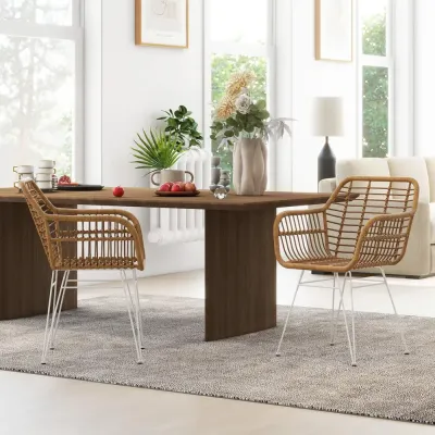 Köksstolar 2-Pack i Bohostil med PE-Rotting 56 x 60 x 79 cm