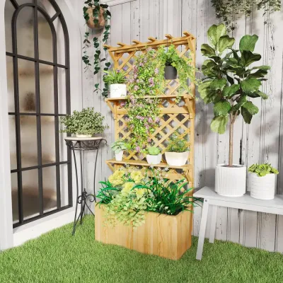 Odlingskrage med Rankgitter 2 Hyllplan 76 x 33 x 177 cm