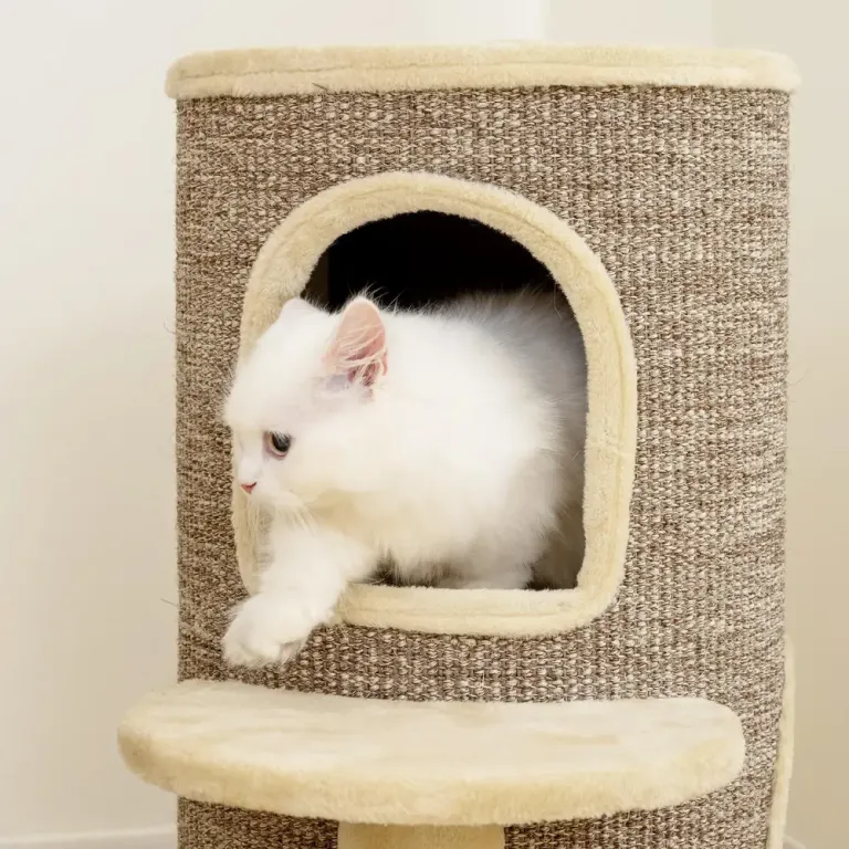 Klösträd för Katter med Koja och Sisalpelare Dubbla Grottor Sidor