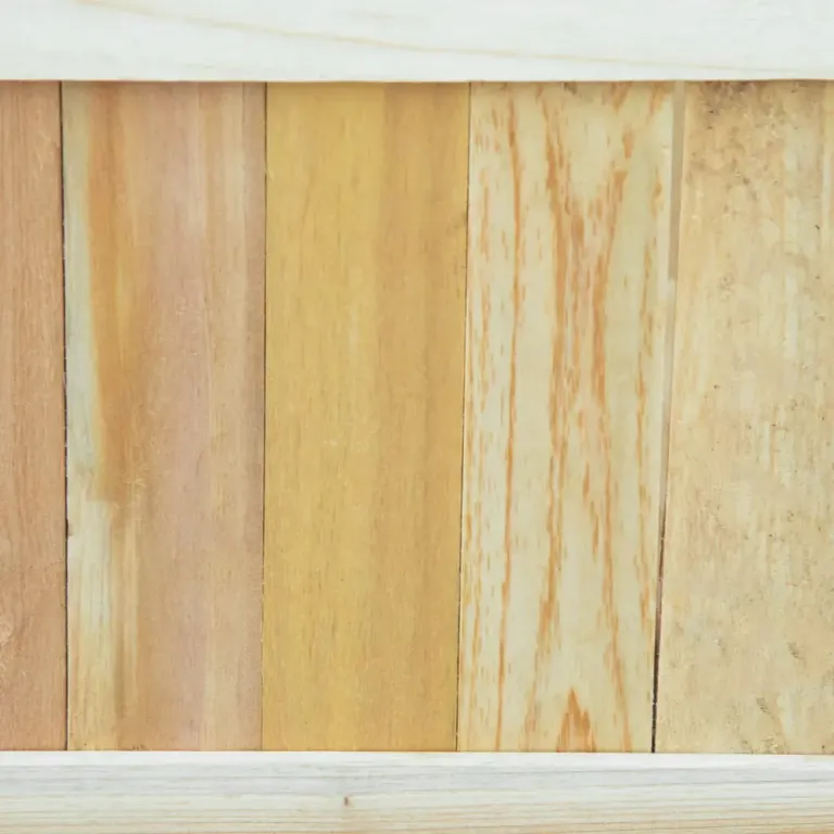 Upphöjd Odlingskrage Planteringslåda med Spaljé Trä