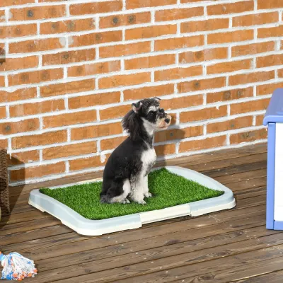 Valptoalett Hundtoalett Blå Grön av Konstgräs 63 x 48,5 cm