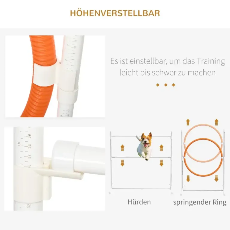 Agility Träningsset Hundsport Flerfärgad av Plast Stor Delar Slalom