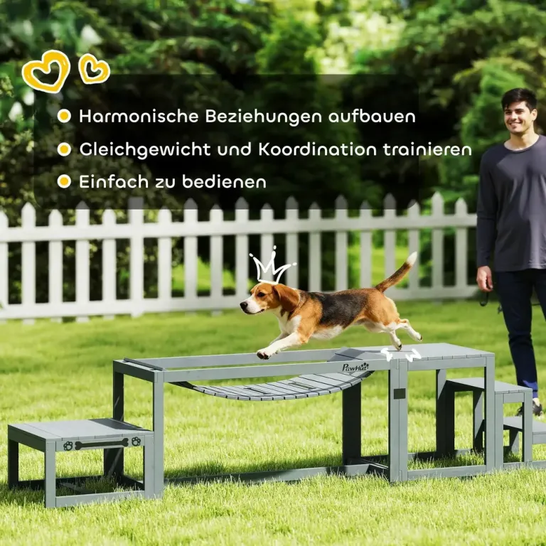 Agilityhinder Hund 3 Delar Grå Granträ för