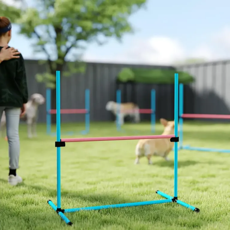 Agilityhinder Hund 4 Delar Ljusblå Plast för 99x65x94 cm