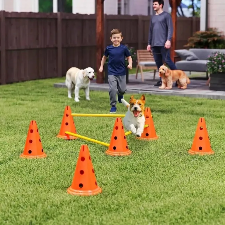 Agilityset för Hundar 3-Delat 6 Koner 3 Hinder Hundträning Hindar