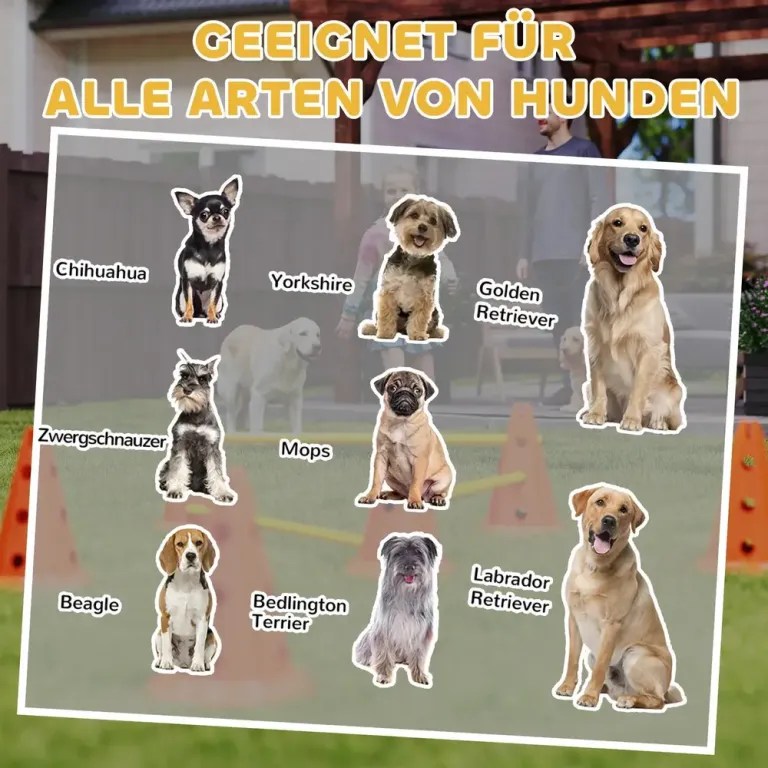 Agilityset för Hundar 3-Delat 6 Koner 3 Hinder Hundträning Hindar