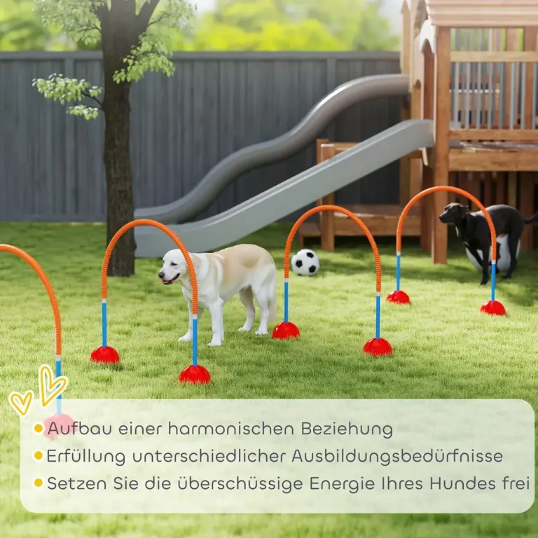 Agilityset Hundträning 5-Delad Blå Gul av Plast för Hundar Hinder