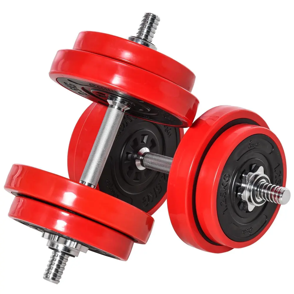 Hantelset 20 Kg 2-i-1 Vikter som 21,5 x 21,5 x 3,8 Cm