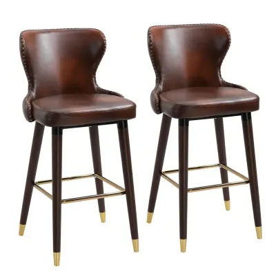 Barstol 2-Pack Eleganta Bistrostolar 52 x 53 x 101 cm