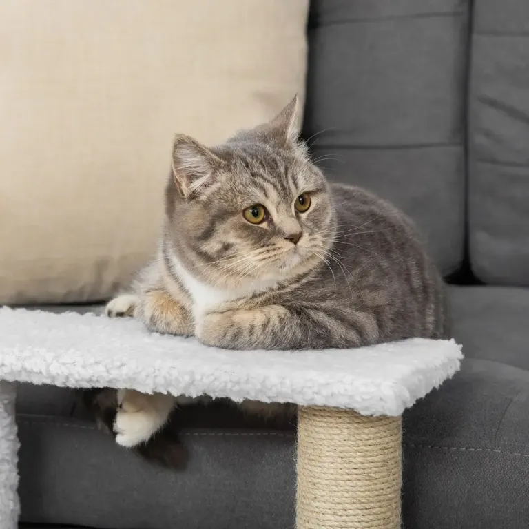 Katttrappa 3 Steg med Klöspelare, Vit