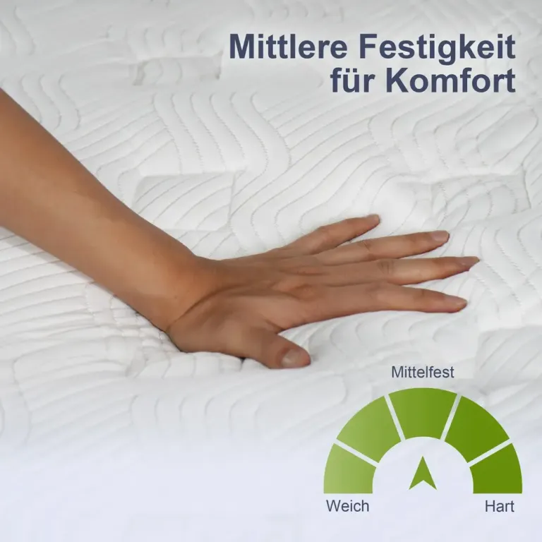 Ergonomisk Madrass 25,8 cm Hög 7-Zoners 90x200 cm, Vit