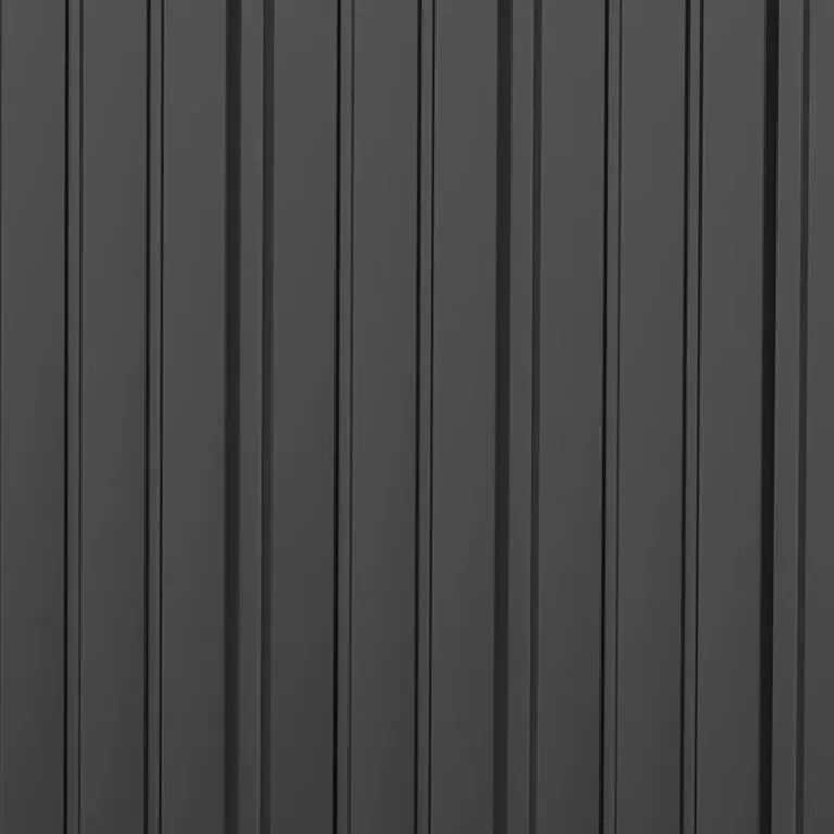 Redskapsbod Trädgårdsskjul Trädgårdsskåp Svart 161,5 x 94,5
