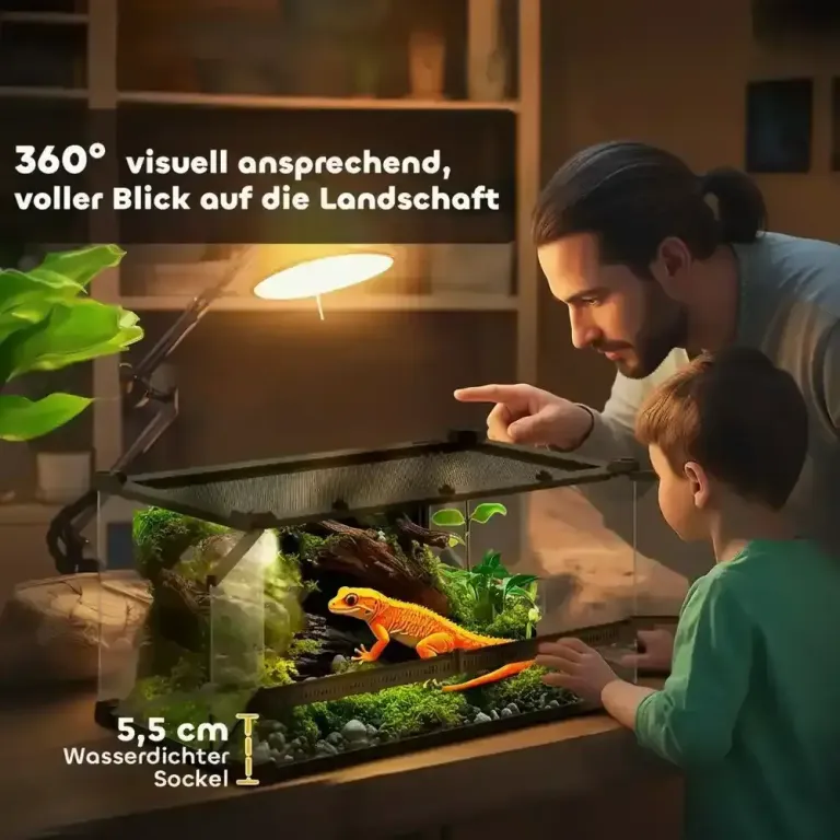 Glasterrarium för Reptiler med Upphöjd och Bas och Knapplås