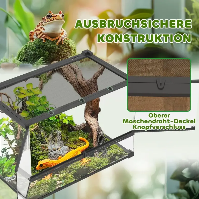 Glasterrarium för Reptiler med Upphöjd och Bas och Knapplås