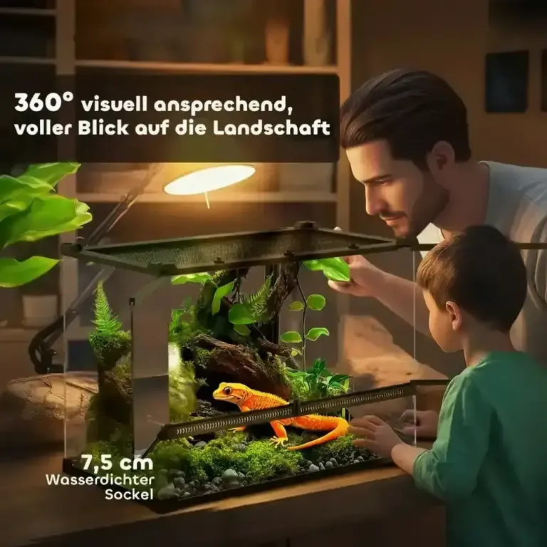 Glasterrarium för Reptiler med Upphöjd och Bas och Knapplås