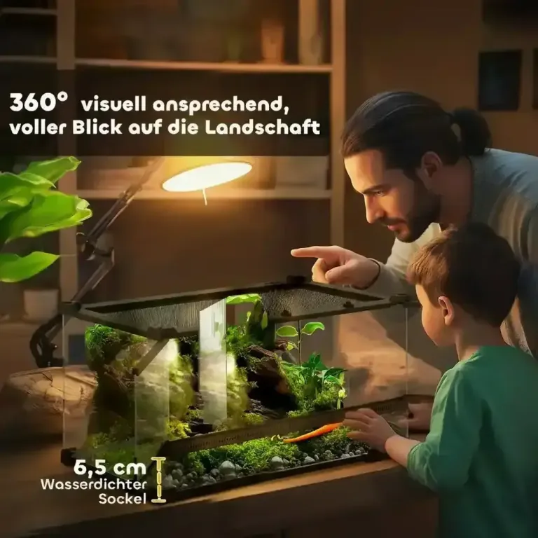 Glasterrarium för Reptiler med Upphöjd och Bas och Knapplås
