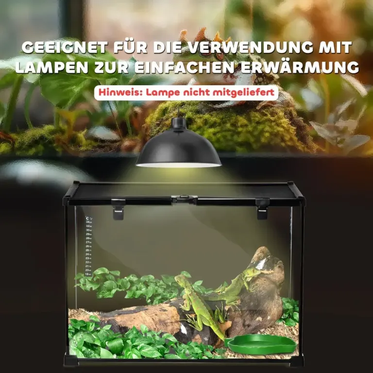 Glasterrarium för Reptiler Rymlig Cm Glasbur Avelslåda Spindeldjur