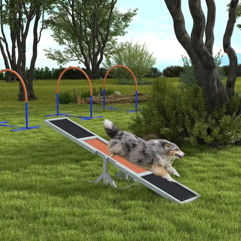 Agility Hundvippa & Balansbräda i Trä 180 cm