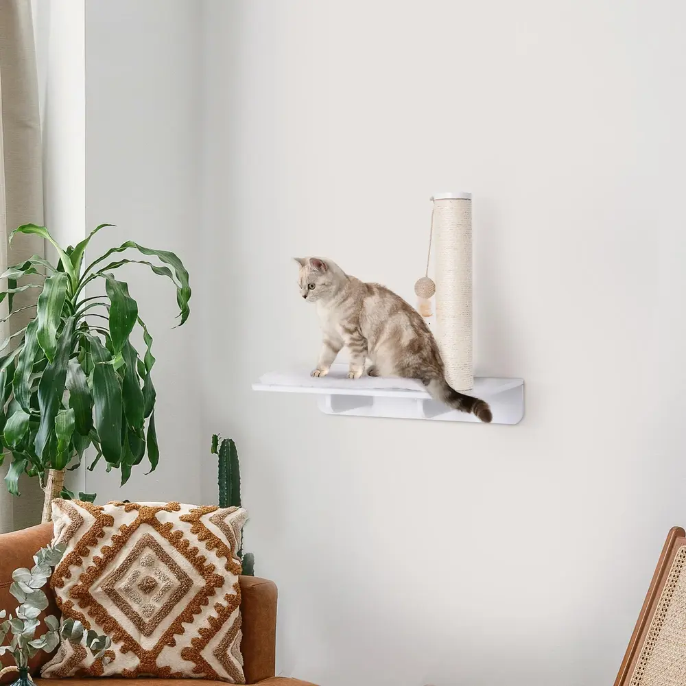 Katthylla med Klösbräda och Lekboll Vägghängd 53 Cm