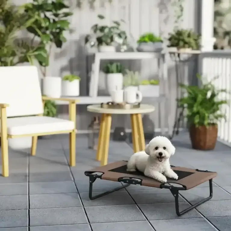 Hopfällbar Upphöjd Husdjurssäng Hundstol Hundsäng