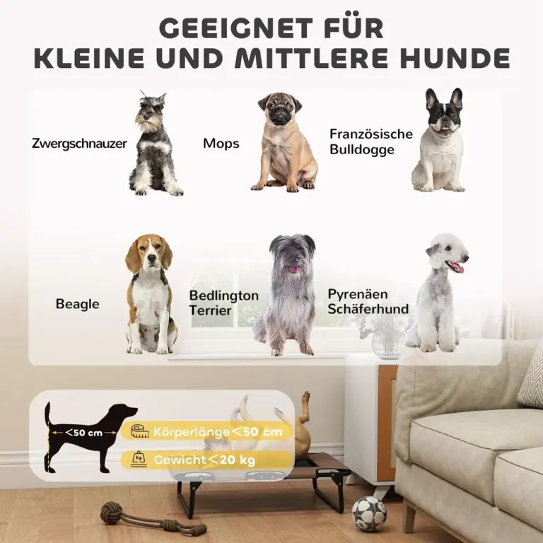 Hopfällbar Upphöjd Husdjurssäng Hundstol Hundsäng