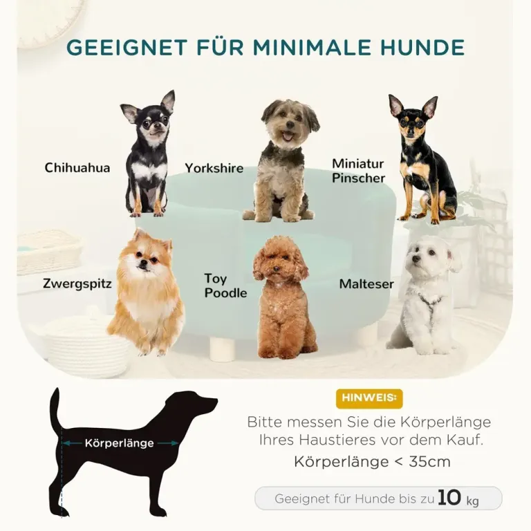 Hundsäng Elegant Hundsoffa med Mjukt Husdjurssäng Fåtölj Design