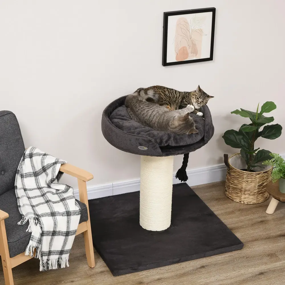 Litet Klösträd med Tvättbara Dynor Kompakt Klösmöbel 80 Cm