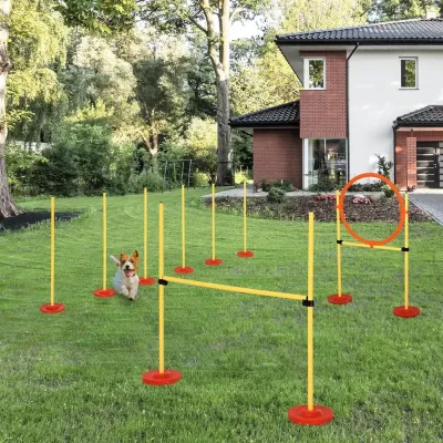 Agilityset 3 i 1 Häck för Husdjur Inkl. Bärväska