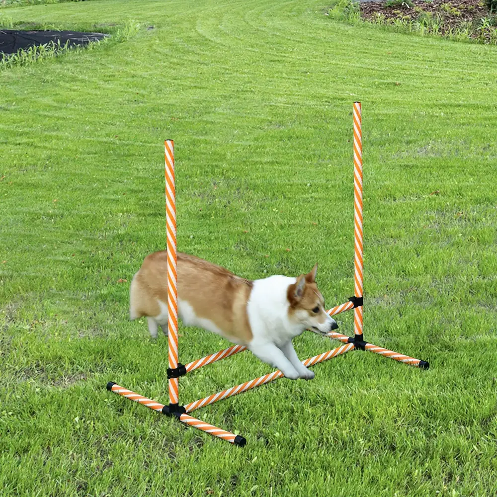 Agility Träningsset Hundsport Orange av Plast för Hundar