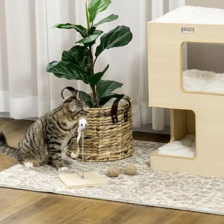 Kattgrotta med Leksak Kattsäng Nivåer Kuddar Musleksak Spånskiva