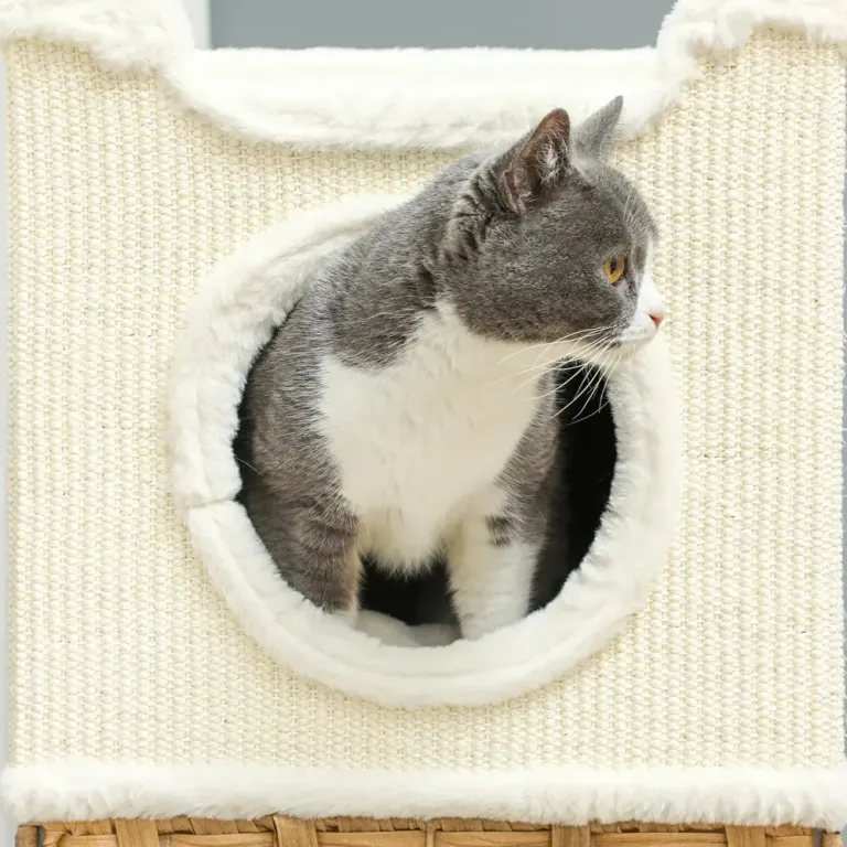 Klöstunna med Tre Kattgrottor, Cremevit