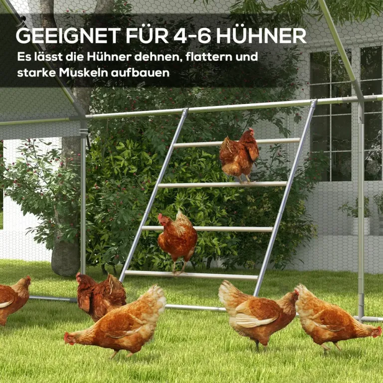 Kycklingstege 4 Sittpinnar för 4–6 Kycklingar Stål Lekstege Höns