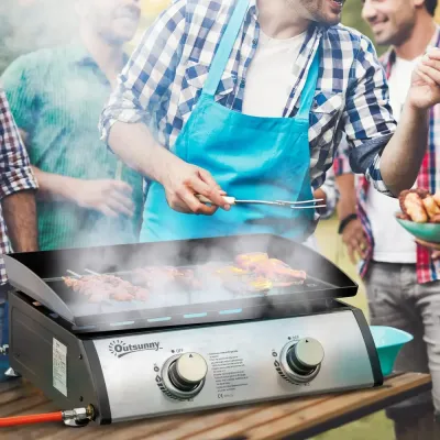 Bordsgrill Gasgrill Bbq Silver av Rostfritt Stål och Metall