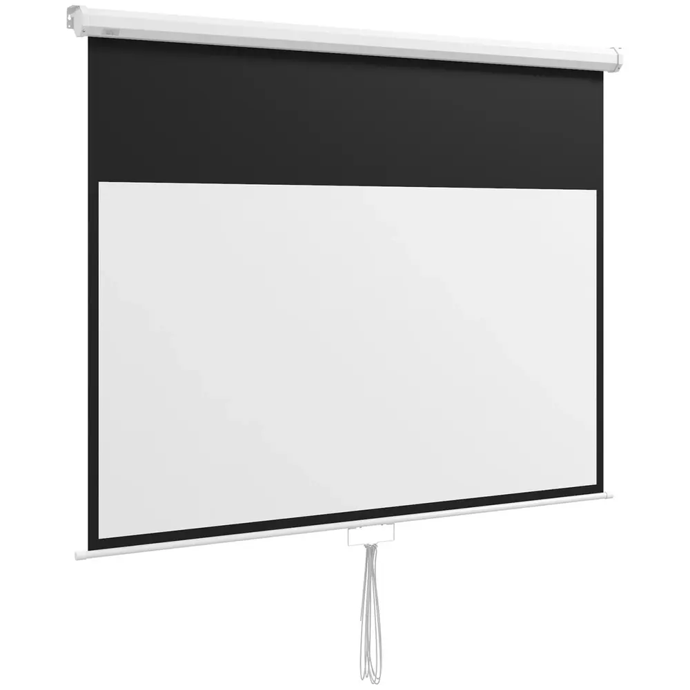 Projektorduk med Stativ och Vägg-/Takfäste 172 x 96 Cm