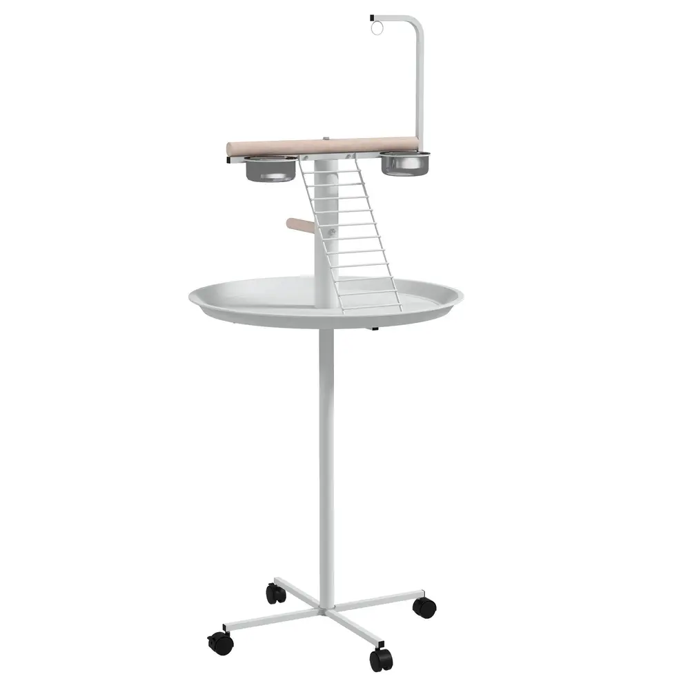 Papegojabborre med Stege Gunga 60 x 60 x 138 Cm