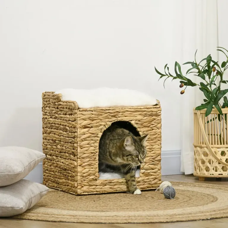 Kattgrotta Kattbädd Brun av Vattenhyacint för Katter