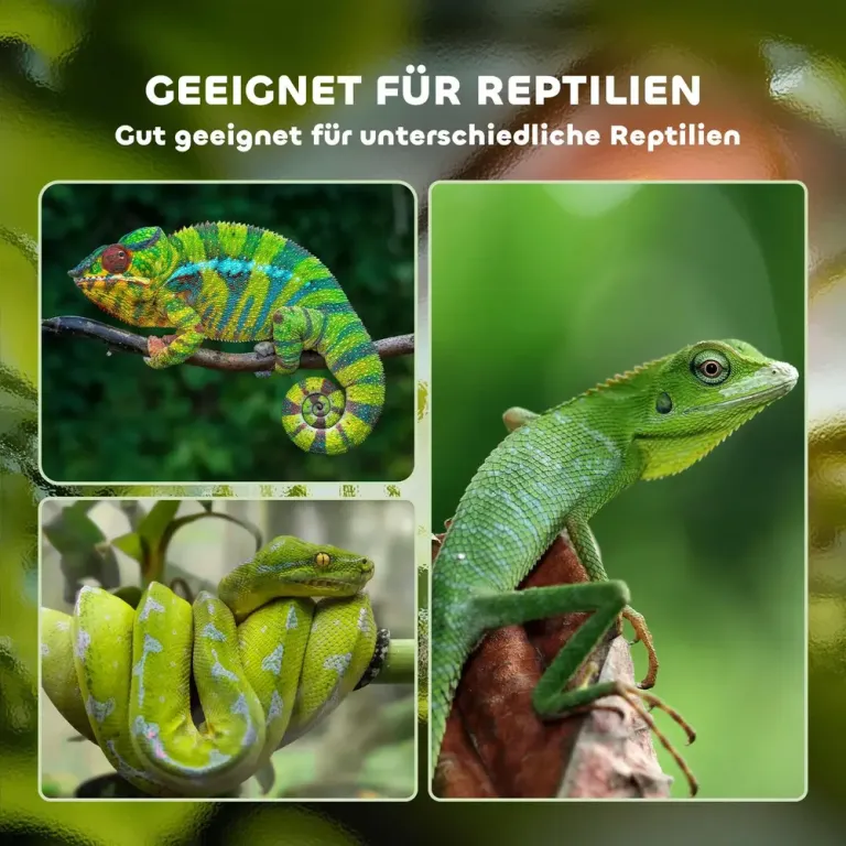 Terrarium i Aluminium för Reptiler Låda