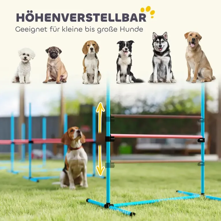 Agilityhinder Hund 4 Delar Ljusblå Plast för 99x65x94 cm