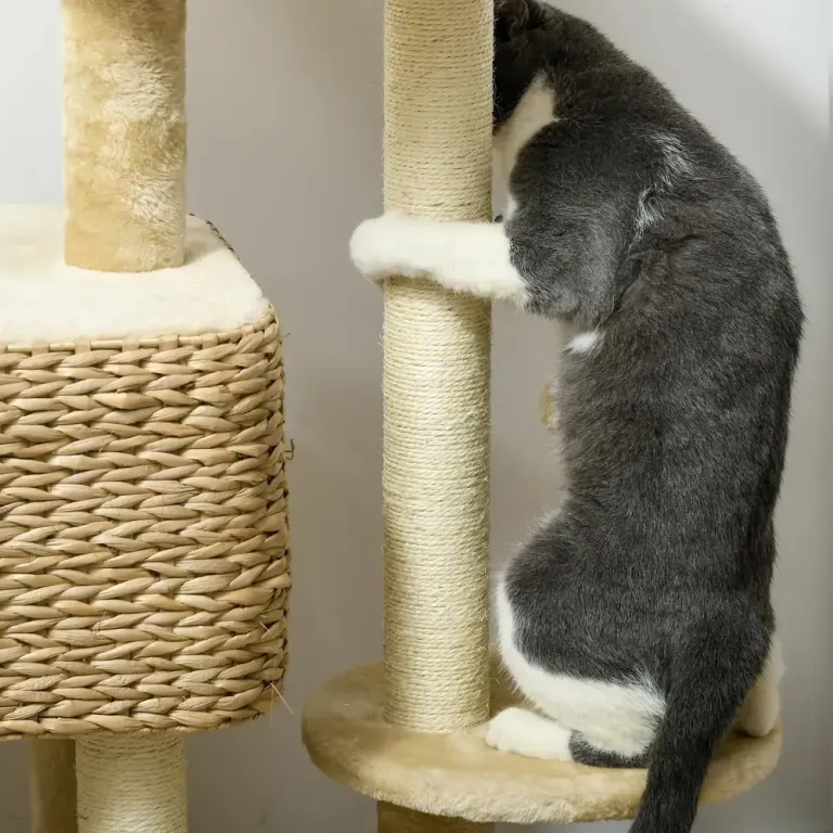 Kattskrapstolpe Klösträd Beige av Sisal och Plysch 98 cm