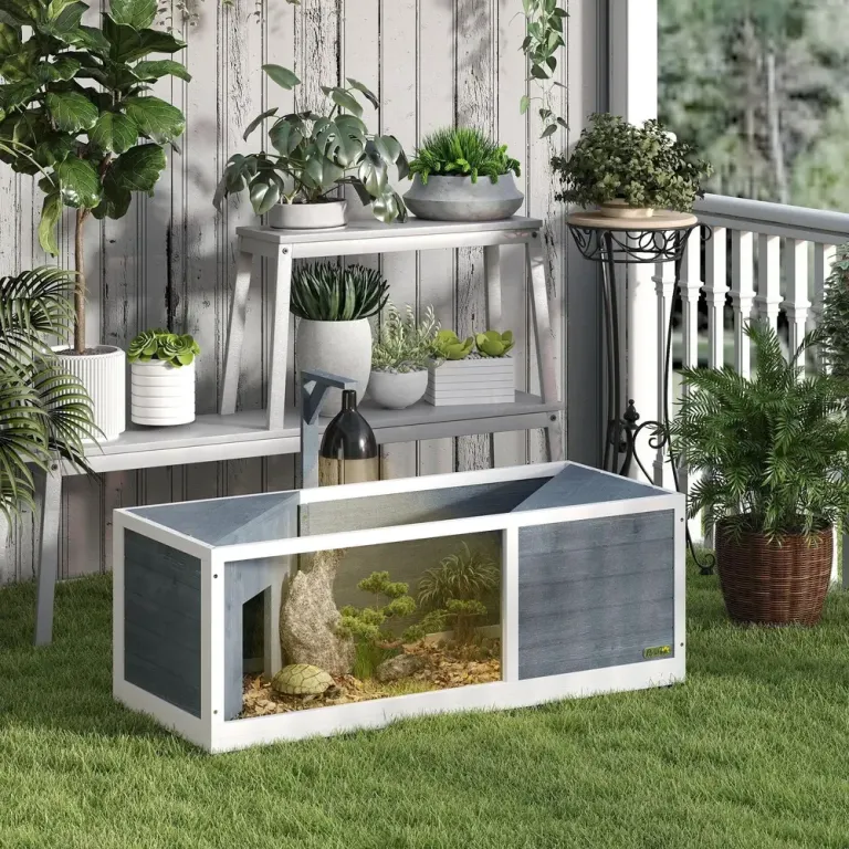 Sköldpaddshus Terrarium med Två Huvudhus Rymligt Lekyta Transparent