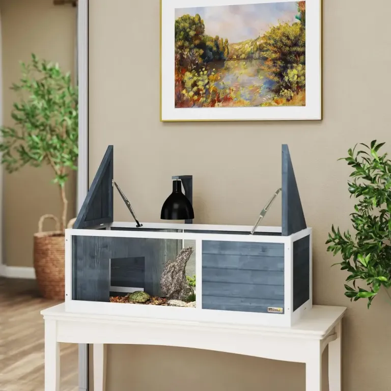 Sköldpaddshus Terrarium med Två Huvudhus Rymligt Lekyta Transparent