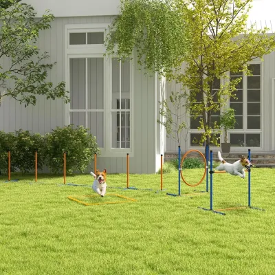 Agility Träningsset Hundsport Blå Gul av Plast för Hundar