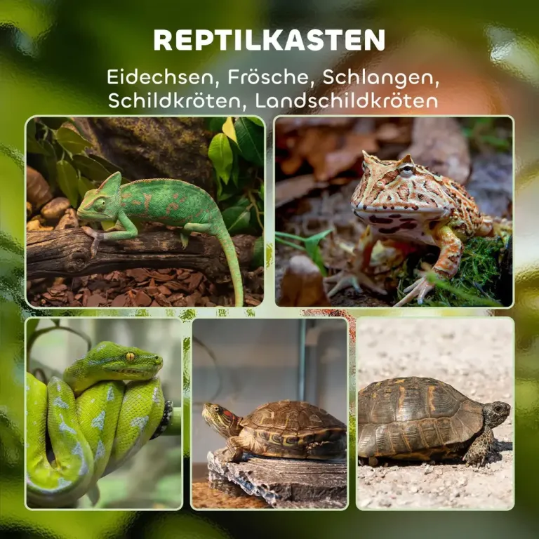 Terrarium Reptilbox Svart av Metall Cm Låda Vivarium Glashus