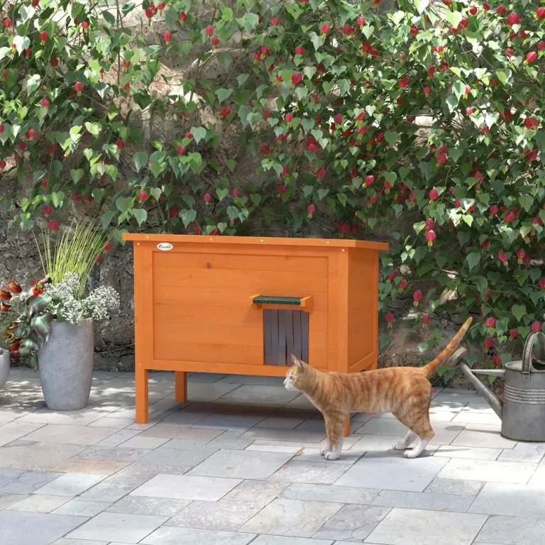 Katthus för Utomhusbruk, Orange Isolerat Väderbeständigt Grön