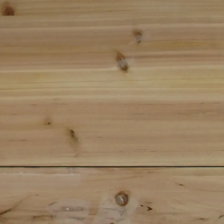 Upphöjd Odlingskrage Planteringslåda med Spaljé Trä 1 122 cm