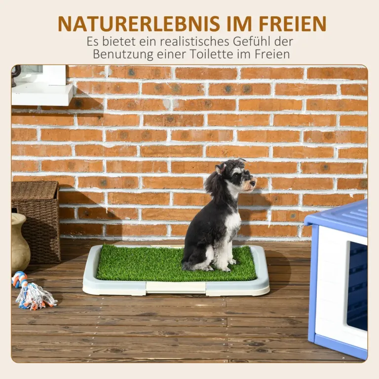 Valptoalett Hundtoalett Blå Grön av Konstgräs Lager Återanvändbar