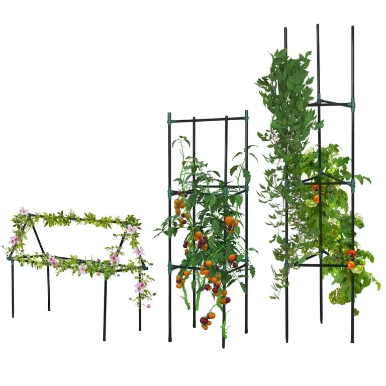 Växtstöd för Tomater 3-Pack Stödpinnar 38 x 38 x 182 cm