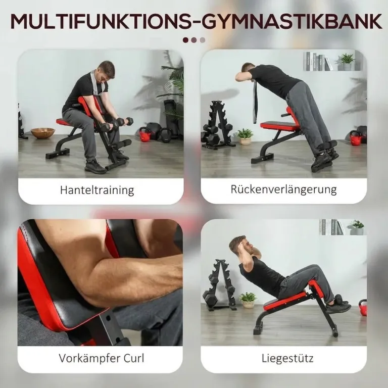 Hopfällbar Träningsbänk och Rygglyftare Max 300 kg, Svart Viktbänk